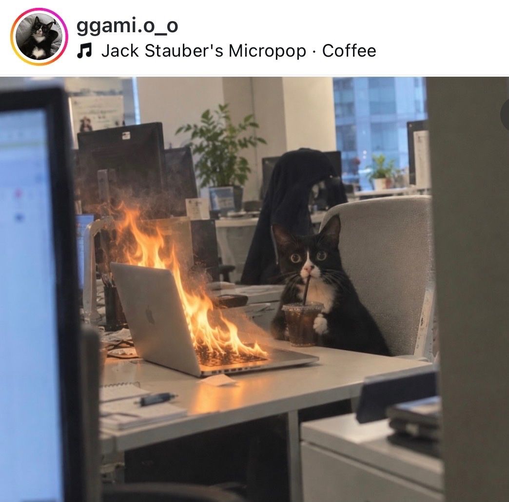 월요일 파이팅🔥 이미지 2